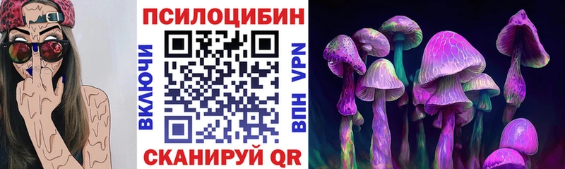 купить наркотики сайты  Амурск  нарко площадка Telegram  Псилоцибиновые грибы MAGIC MUSHROOMS 